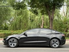 Tesla Model 3 556km Rear-Wheel Drive Edition - фото 2