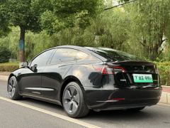 Tesla Model 3 556km Rear-Wheel Drive Edition - фото 3