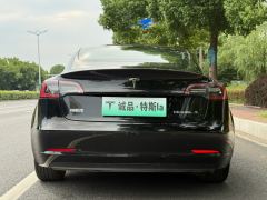 Tesla Model 3 556km Rear-Wheel Drive Edition - фото 4