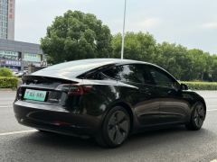 Tesla Model 3 556km Rear-Wheel Drive Edition - фото 5