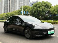 Tesla Model 3 556km Rear-Wheel Drive Edition - фото 7