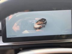 Nissan Venucia VX6 520 Max - photo 16