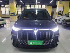 Voyah Dream PHEV Extended Range Luxury Edition - photo 2