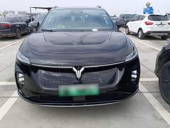 Voyah Lantu Zhiyin Four-Wheel Drive Global Edition - фото 2