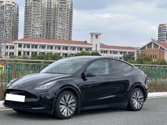 Tesla Model Y Rear-Wheel Drive - фото 1