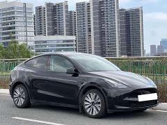 Tesla Model Y Rear-Wheel Drive - фото 3
