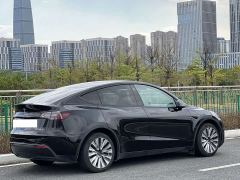 Tesla Model Y Rear-Wheel Drive - фото 7