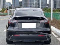 Tesla Model Y Rear-Wheel Drive - фото 8