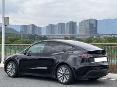 Tesla Model Y Rear-Wheel Drive - фото 9
