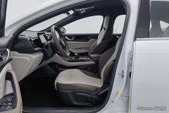 BYD Qin PLUS DM-i Champion Edition 1.5L 55km Leading Edition - photo 13