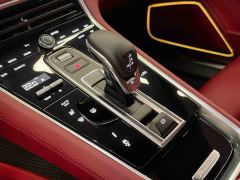 Porsche Panamera 2.9T - ფოტო 10