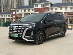 Denza D9 DM-i 970 AWD Premium Edition - photo 1