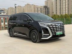 Denza D9 DM-i 970 AWD Premium Edition - photo 3