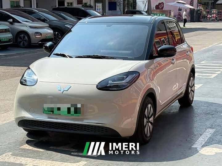 Wuling Binguo 333km Joy Edition - car from China