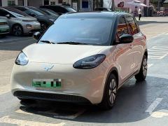 Wuling Binguo 333km Joy Edition - photo 1