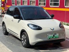 Wuling Binguo 333km Joy Edition - photo 3