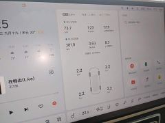 Li Auto L8 Pro - ფოტო 11
