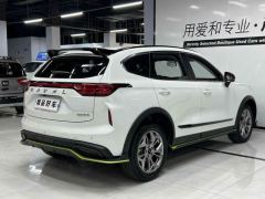 Haval Chitu Jingxiang Edition 1.5T Purple Copper Rabbit - ფოტო 7