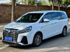 Buick GL8 Land Executive Cabin 652T Luxury - фото 1