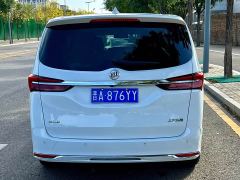 Buick GL8 Land Executive Cabin 652T Luxury - фото 14