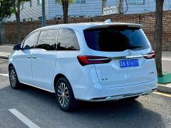 Buick GL8 Land Executive Cabin 652T Luxury - фото 15