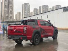 Buick Cannon 2.0T Off-road Auto Diesel 4WD Everest Edition GW4D20M - фото 9