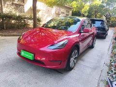 Tesla Model Y Standard Range RWD - ფოტო 1