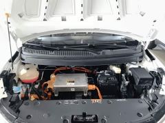Geely Geometry E Firefly 401KM Thunder Tiger 4-Seater - фото 19