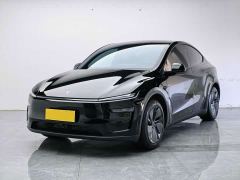 Tesla Model Y Rear-Wheel Drive - ფოტო 1