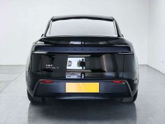 Tesla Model Y Rear-Wheel Drive - ფოტო 4