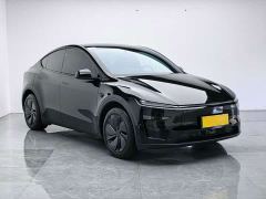 Tesla Model Y Rear-Wheel Drive - ფოტო 6
