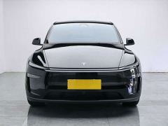 Tesla Model Y Rear-Wheel Drive - ფოტო 8