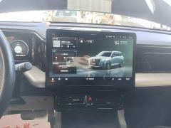 GAC Aion GS8 Dual Engine 2.0T M Two-Wheel Drive Luxury Edition (7-Seater) - photo 12