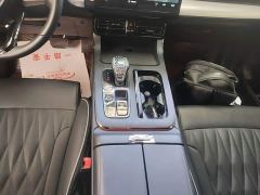 GAC Aion GS8 Dual Engine 2.0T M Two-Wheel Drive Luxury Edition (7-Seater) - photo 13