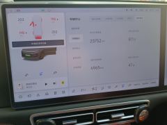 Li Auto L6 Pro - ფოტო 20