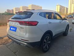 Haval H6 Guochao Edition 1.5T 2WD Champion Edition - фото 2