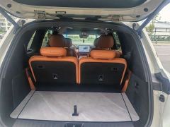 Deepal Deep Blue S09 Rear-Wheel Drive Ultra - ფოტო 16