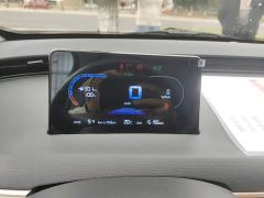 Chery Kaiyue Shiyue Mate 300km Talanglang Edition - фото 11