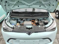Chery Kaiyue Shiyue Mate 300km Talanglang Edition - фото 19