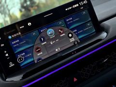Honda Accord 260TURBO Luxury Edition - photo 17