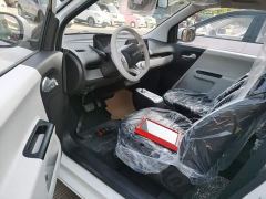 Changan Lumin Treasure Edition 205km Cool Love White CATL - photo 14