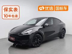 Tesla Model Y Standard Range RWD - фото 1