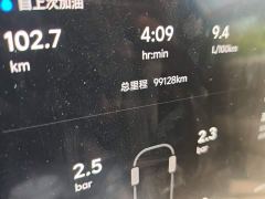 Li Auto L9 Max - ფოტო 11