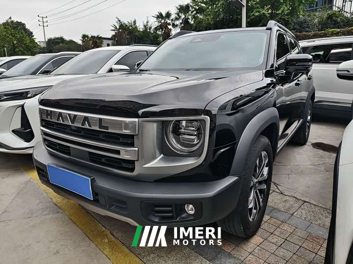 Great Wall Dachshund 1.5T DCT Border Collie Edition - автомобиль из Китая