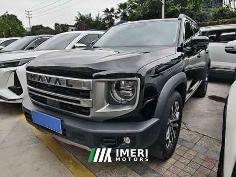 2024 Great Wall Dachshund 1.5T DCT Border Collie Edition - автомобиль из Китая