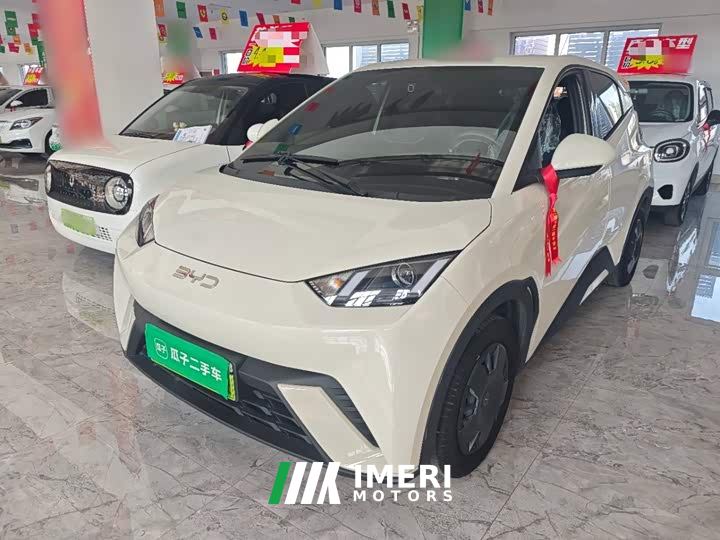 BYD Seagull Glory Edition 305km Vitality Version - ავტომობილი ჩინეთიდან