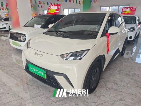 2024 BYD Seagull Glory Edition 305km Vitality Version - ავტომობილი ჩინეთიდან