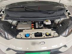 BYD Seagull Glory Edition 305km Vitality Version - ფოტო 19