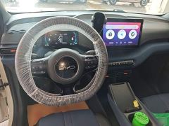 BYD Seagull Glory Edition 305km Vitality Version - ფოტო 9