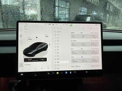 Tesla Model 3 Rear-Wheel Drive - ფოტო 6